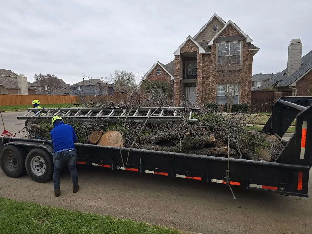 Expert Lot Clearing with proper safety equipment in Esmond